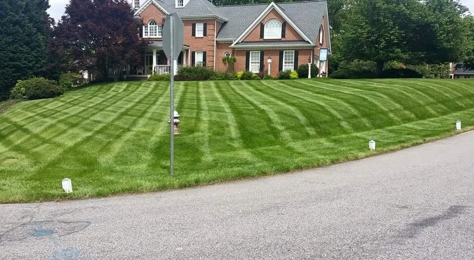 Expert garden landscaping for year-round maintenance across Durham, NC - Hernandez Lawn Service