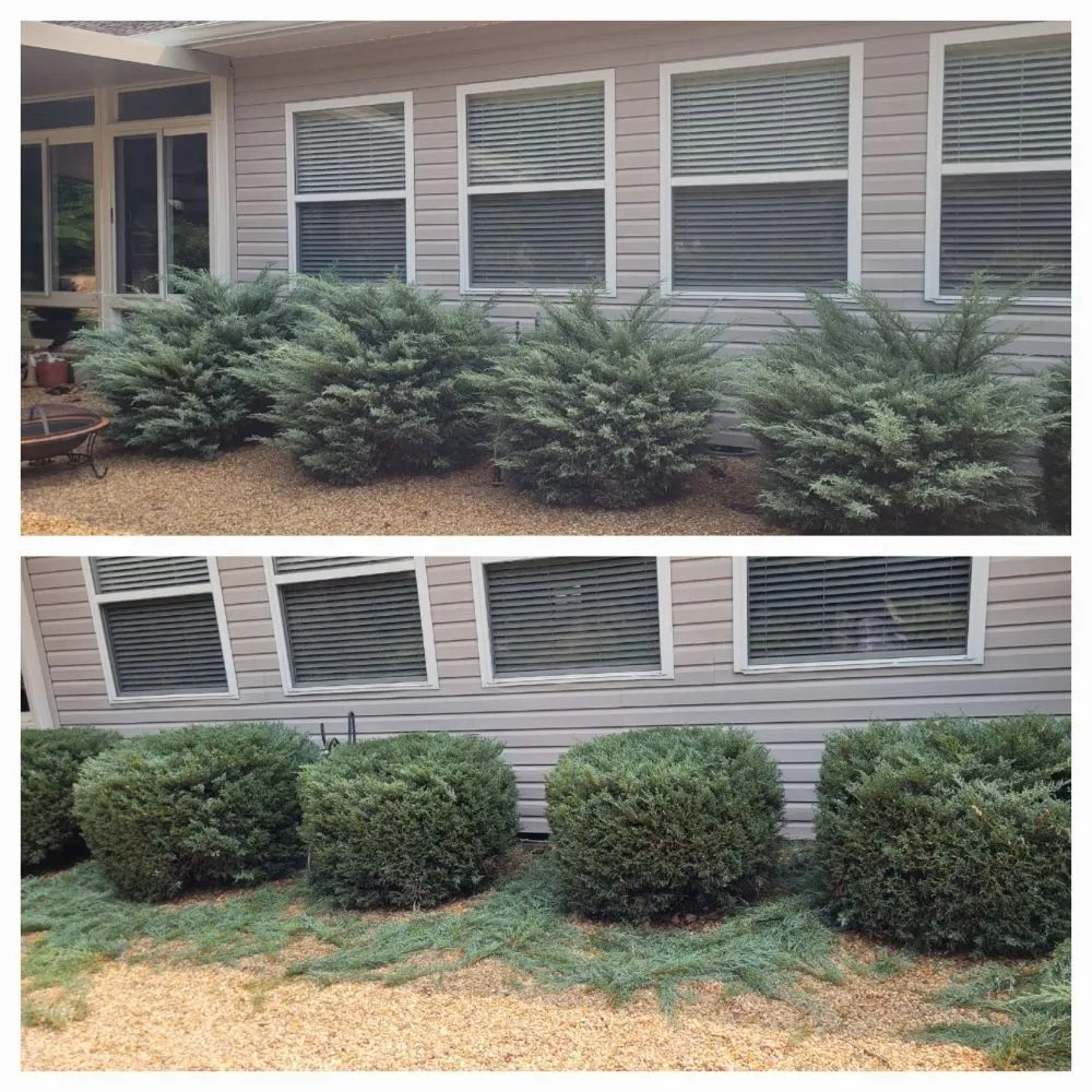 Trusted residential landscaping experts serving Loudon, TN - Hernandez Lawn service
