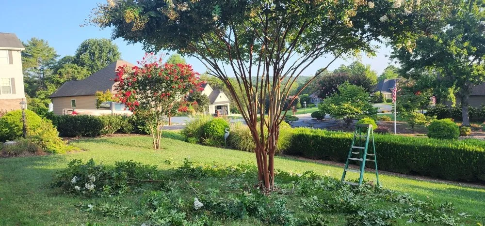 Reliable yard maintenance experts serving Loudon, TN - Hernandez Lawn service