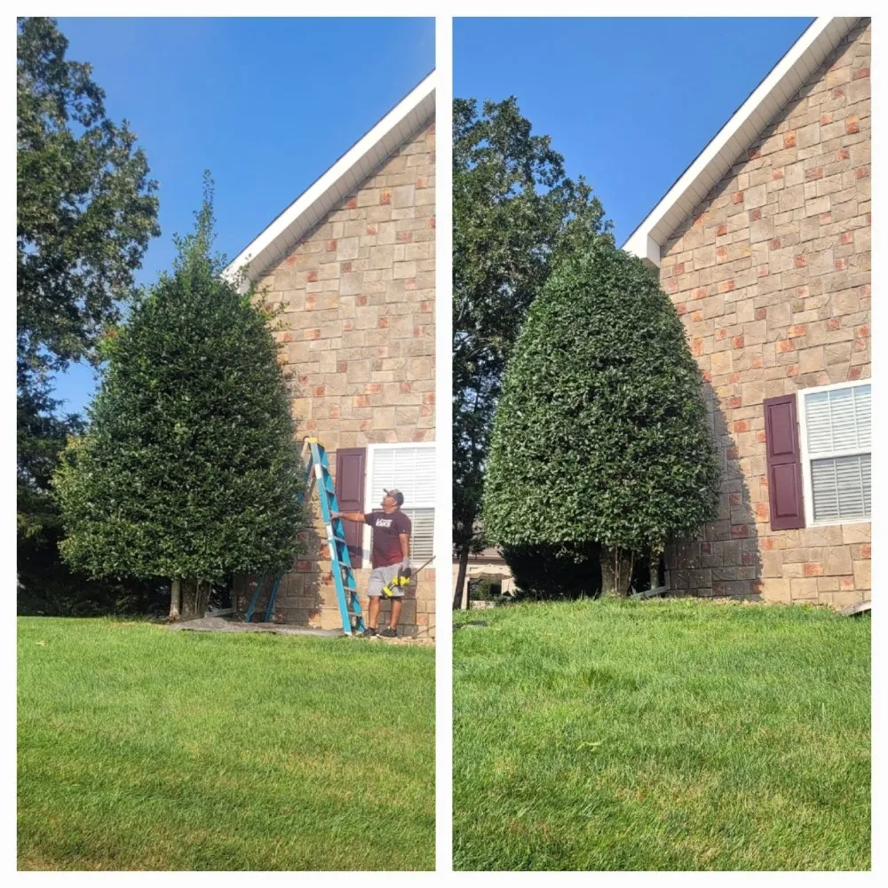 Reliable garden landscaping for residential properties across Loudon, TN - Hernandez Lawn service