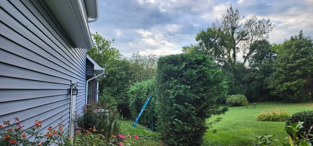 Affordable landscape design in Loudon, TN by Hernandez Lawn service