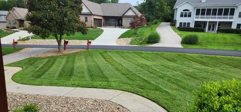 Custom yard cleanup service experts serving Loudon, TN - Hernandez Lawn service
