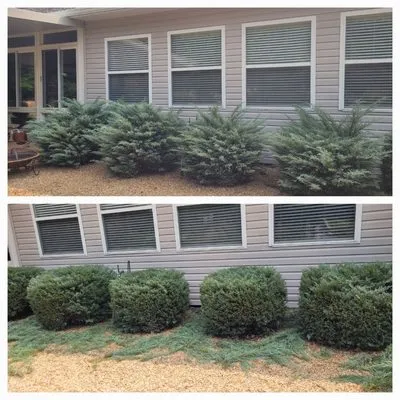 Hernandez Lawn service Logo