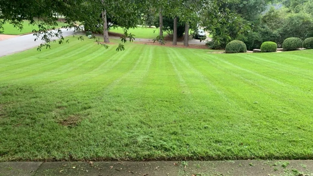 Professional garden landscaping for residential properties in Macon, GA by Hernandez Lawn Service