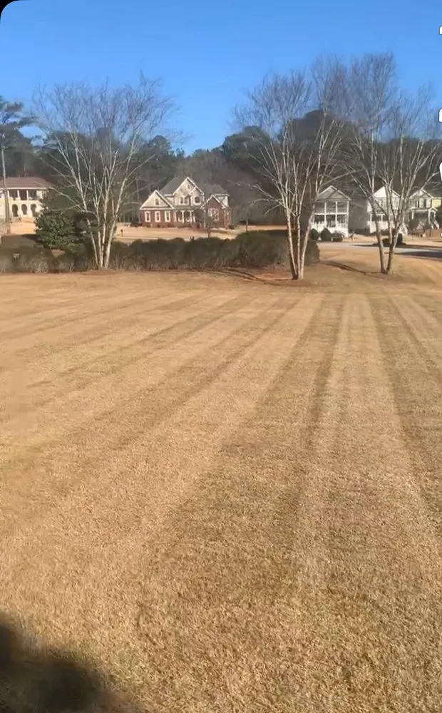 Expert lawn care service in Macon, GA by Hernandez Lawn Service