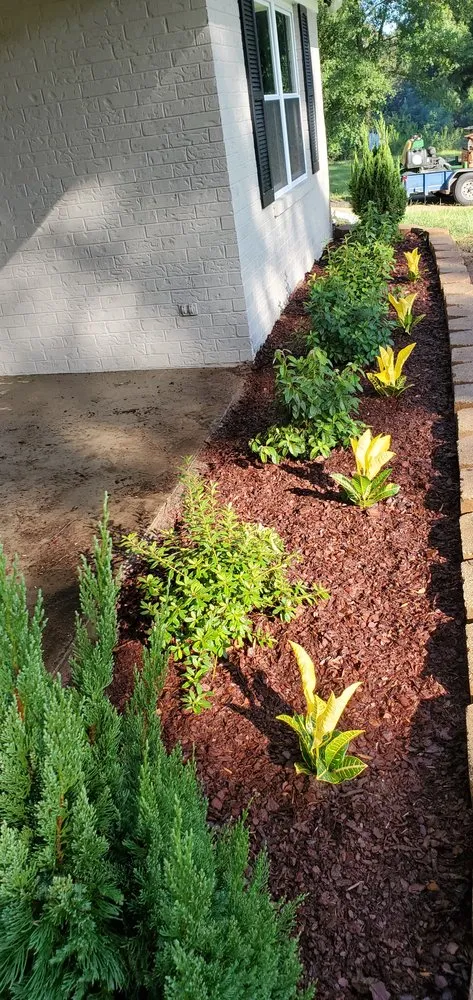 Affordable lawn care service in Tyler, TX - Hernandez Lawn Service