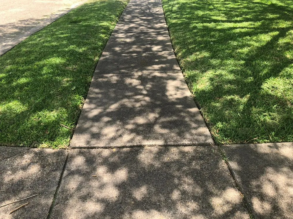 Reliable yard maintenance in Dallas, TX - Hernandez Lawn Services