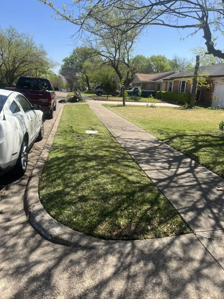 Affordable landscaping services for outdoor upgrades in Dallas, TX by Hernandez Lawn Services