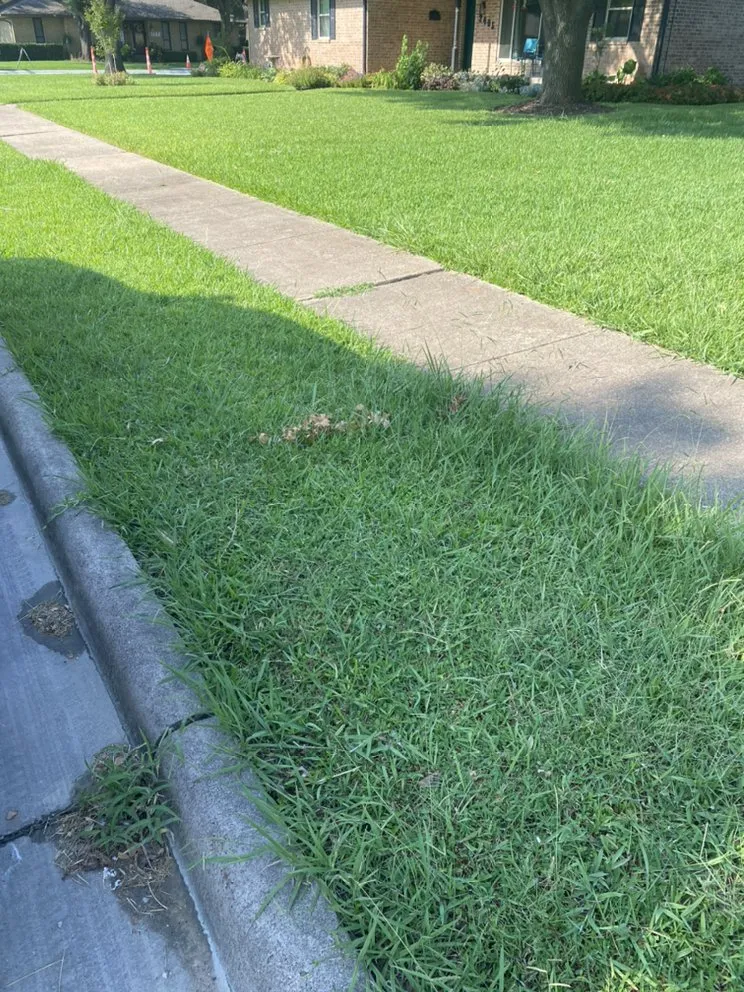 Top-rated lawn care service in Dallas, TX - Hernandez Lawn Services