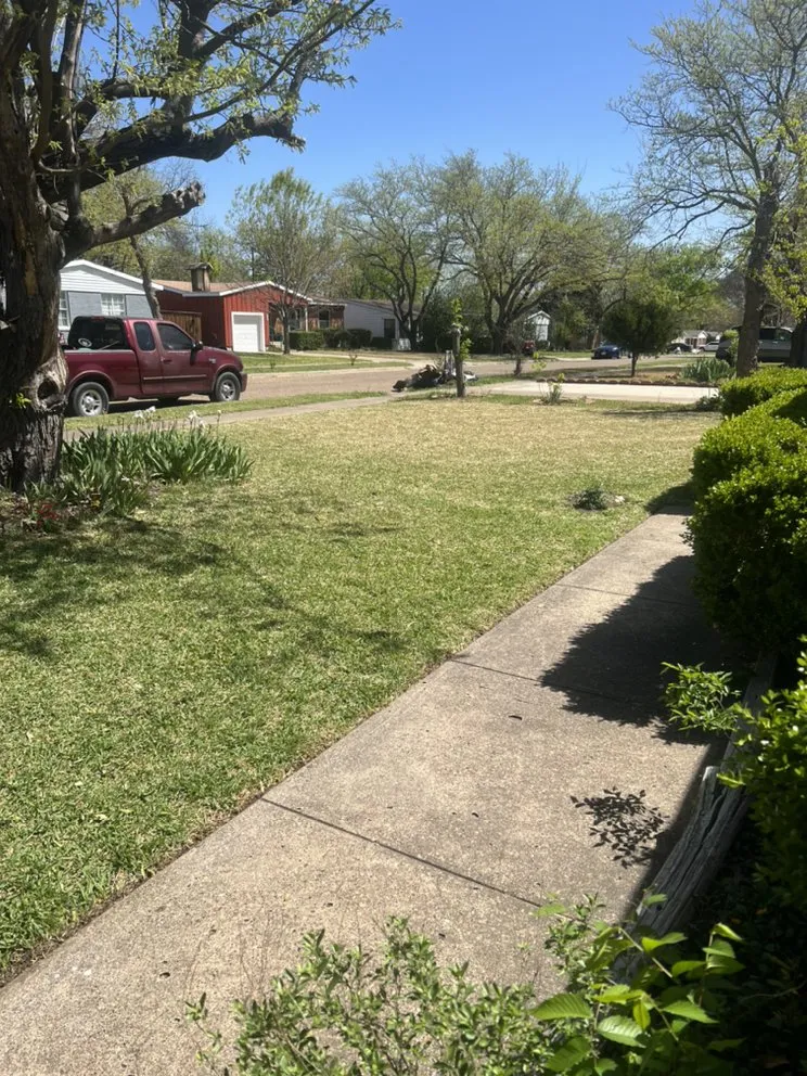 Affordable lawn mowing service for residential properties in Dallas, TX by Hernandez Lawn Services