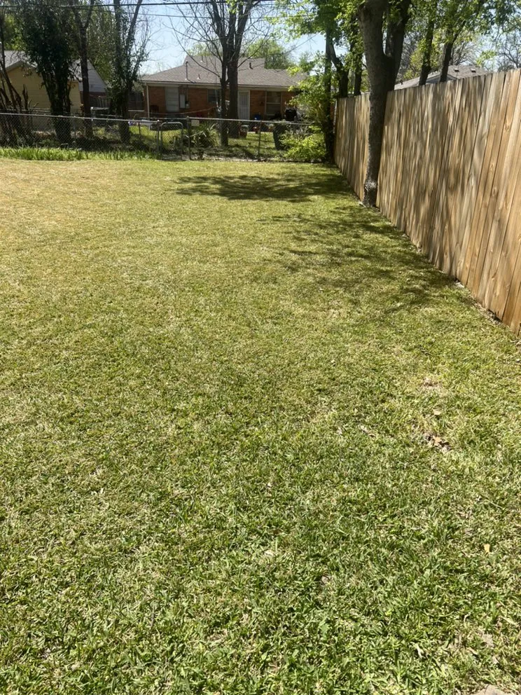 Expert garden landscaping for outdoor upgrades across Dallas, TX - Hernandez Lawn Services