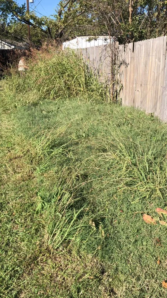 Trusted landscape design in Dallas, TX - Hernandez Lawn Services