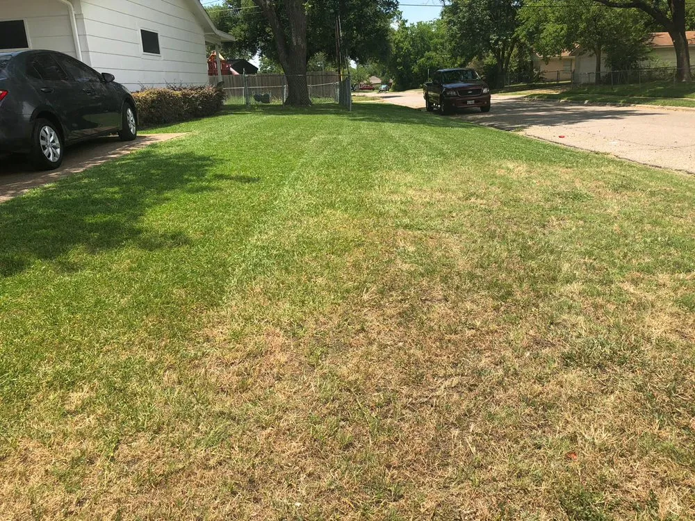 Top-rated landscape installation in Dallas, TX by Hernandez Lawn Services