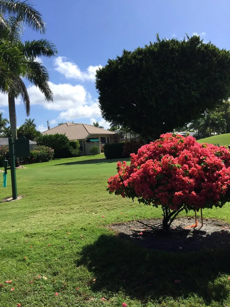 Top-rated outdoor landscaping in Naples, FL by Hernandez Lawn Services