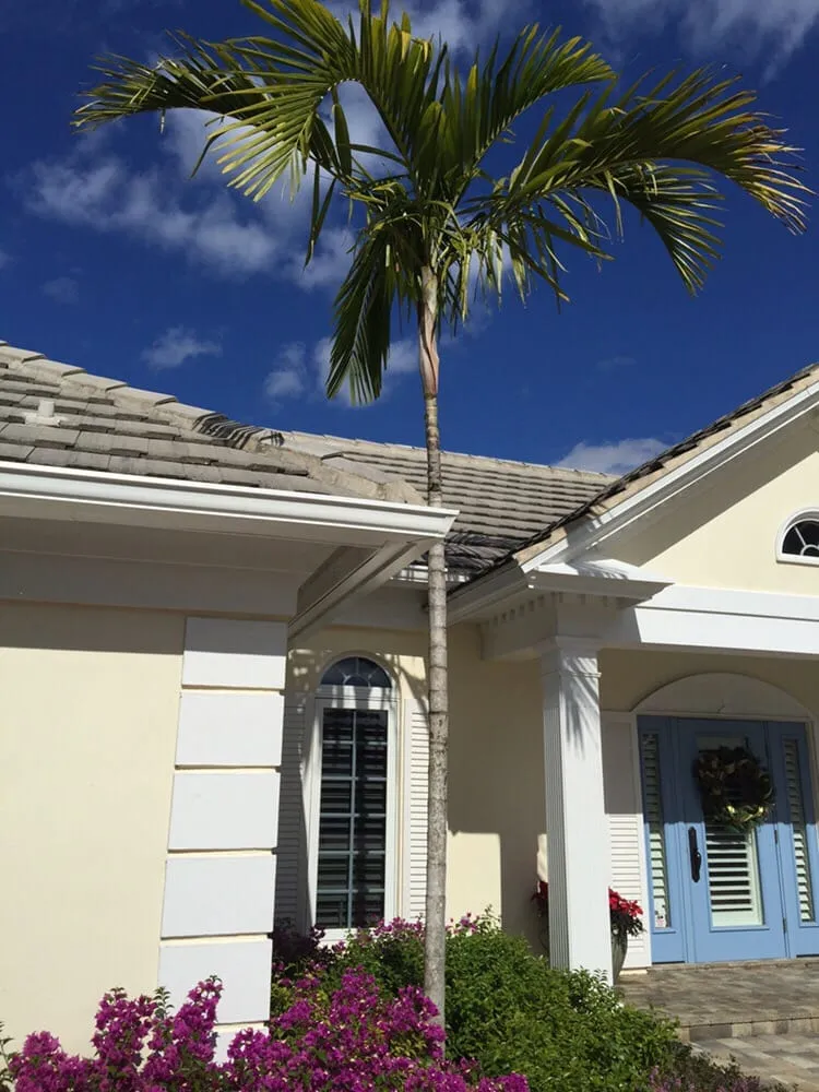 Reliable lawn care service experts serving Naples, FL - Hernandez Lawn Services