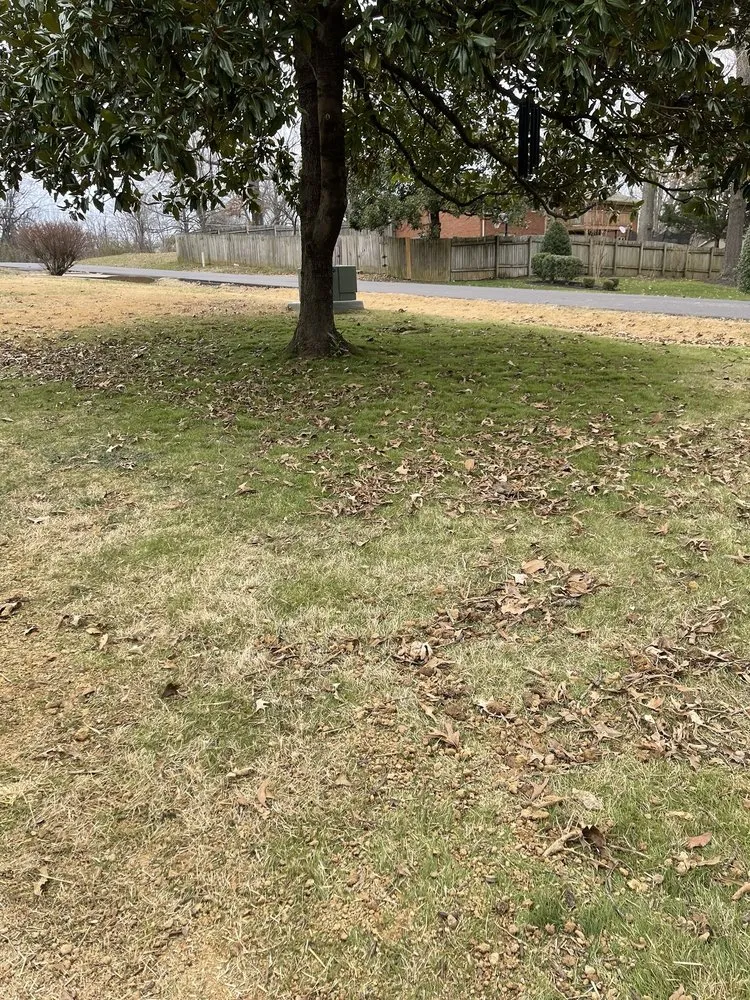 Affordable garden landscaping in Paducah, KY - Hernandez Lawncare & Landscaping