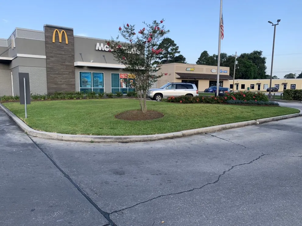 Professional yard cleanup service for outdoor upgrades in Baton Rouge, LA by Hernandez Lawnscape