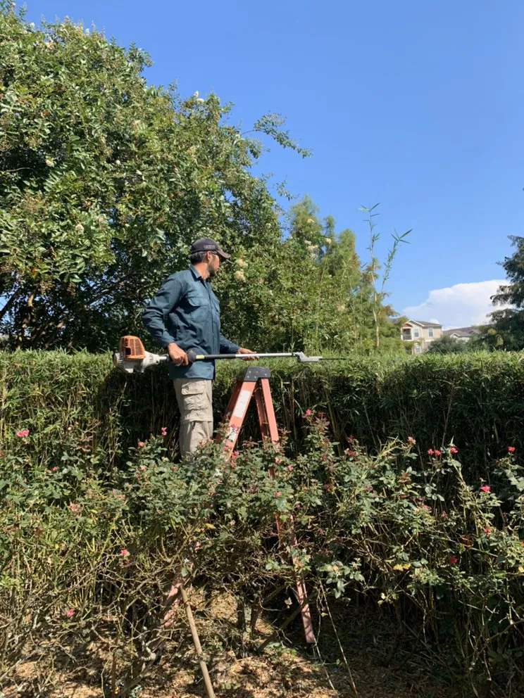 Professional lawn mowing service near you across Baton Rouge, LA - Hernandez Lawnscape