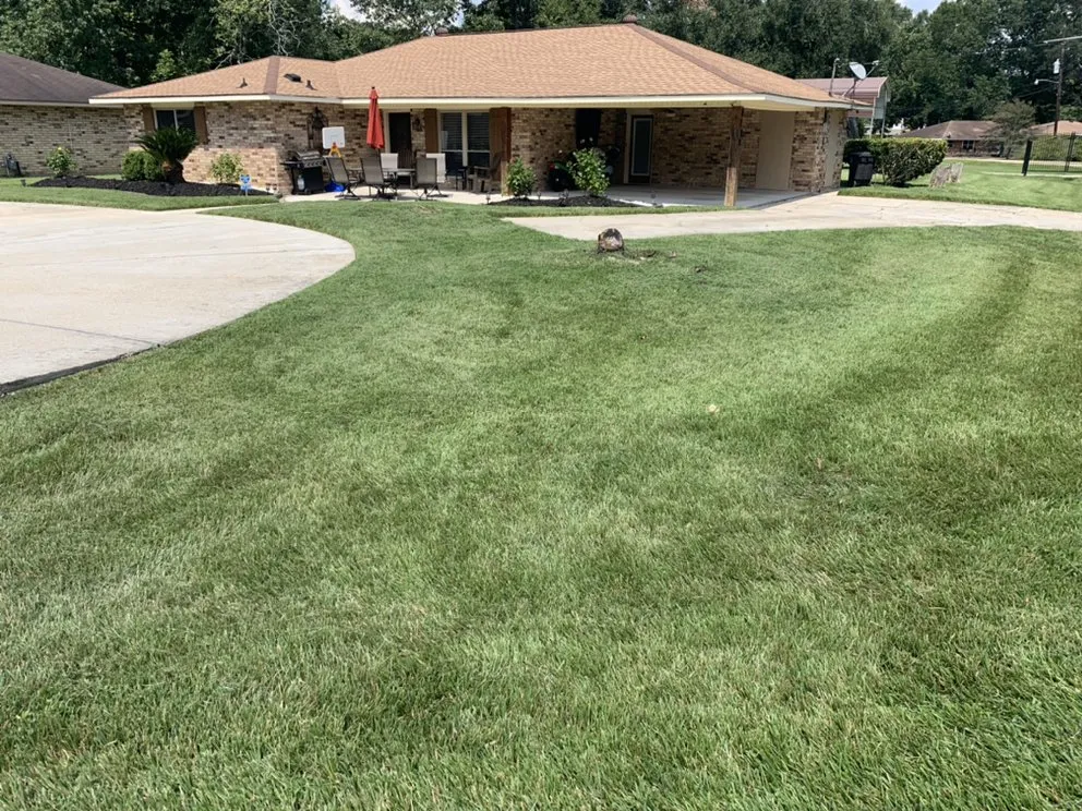 Professional yard cleanup service with custom design across Baton Rouge, LA - Hernandez Lawnscape