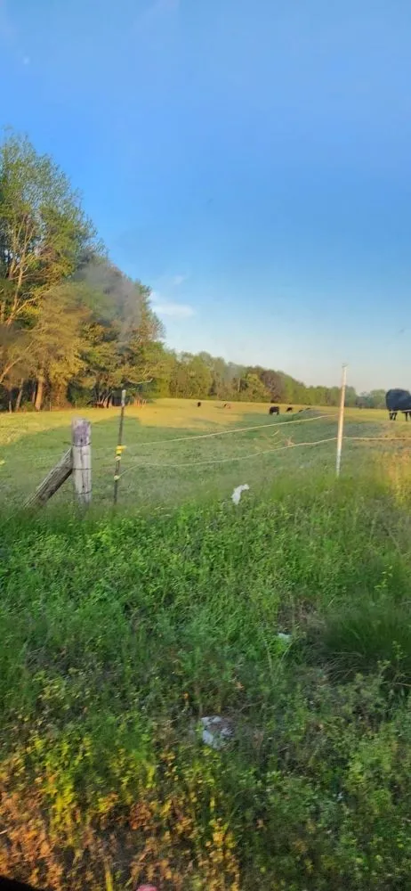 Local lawn mowing service in Elm City, NC - HERNANDEZ Lawnscaping &pest control