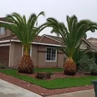 Affordable garden landscaping in Menifee, CA by Hernandez Maintenance And Junkhauling