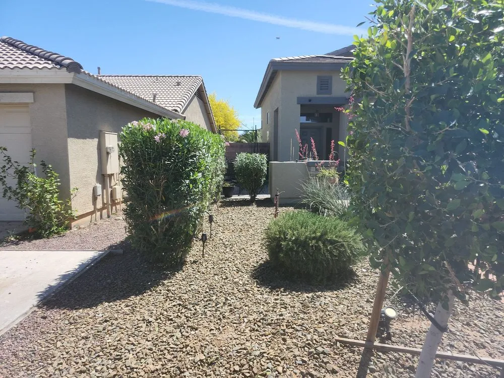 Affordable landscaping services in Avondale, AZ by Hernandez N Landscaping