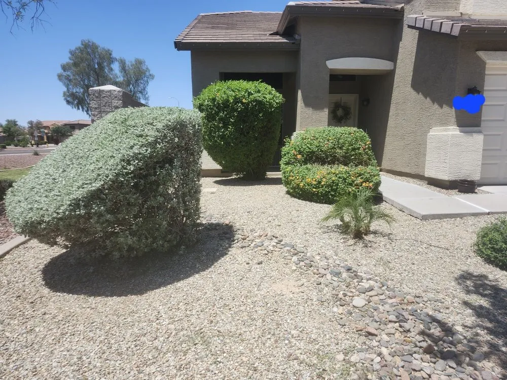 Expert residential landscaping experts serving Avondale, AZ - Hernandez N Landscaping