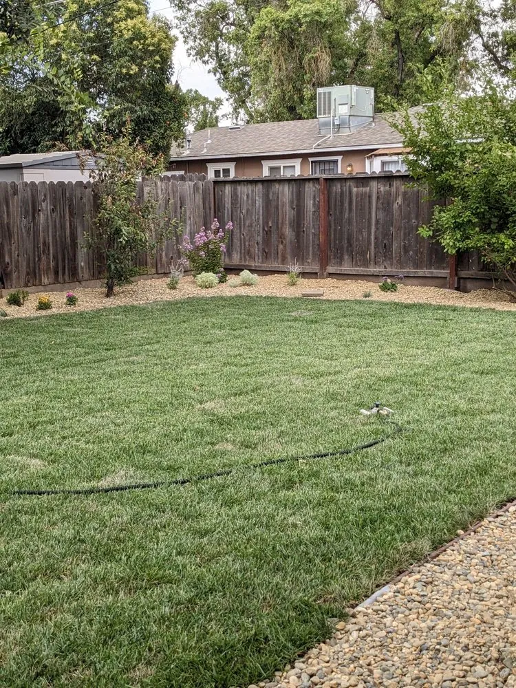 Local yard cleanup service for residential properties in Stockton, CA by Hernandez One Time Yard Clean Up