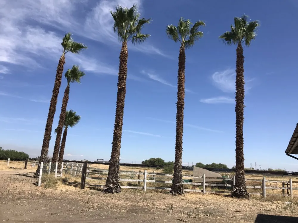 Top-rated garden landscaping in Stockton, CA by Hernandez One Time Yard Clean Up