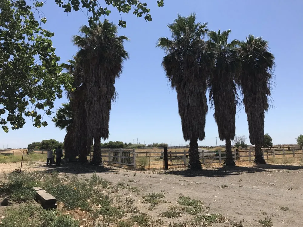 Expert lawn care service experts serving Stockton, CA - Hernandez One Time Yard Clean Up