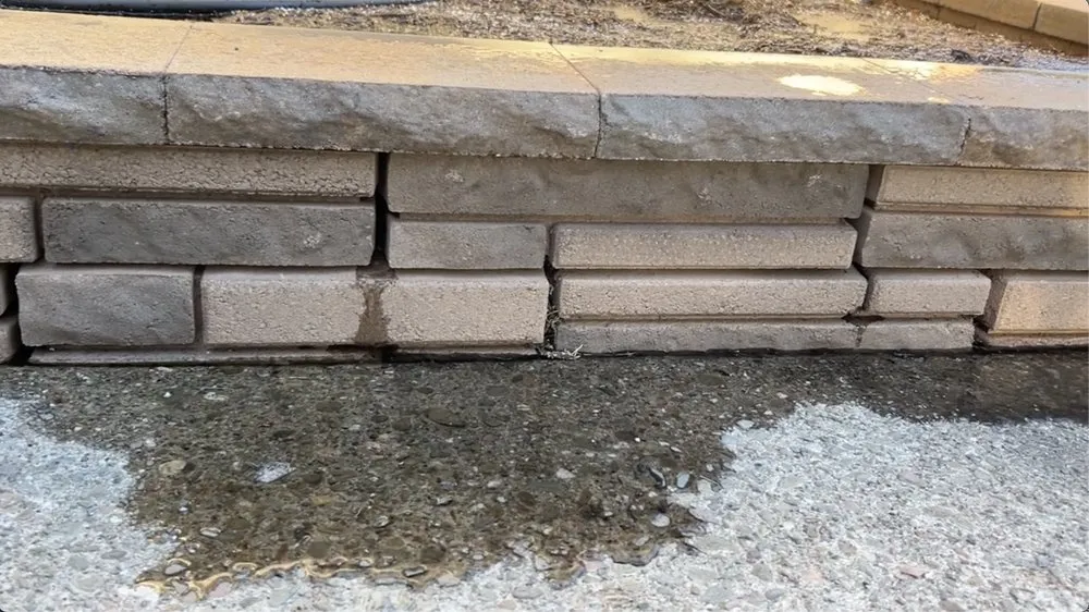 Expert residential landscaping in Stockton, CA - Hernandez One Time Yard Clean Up