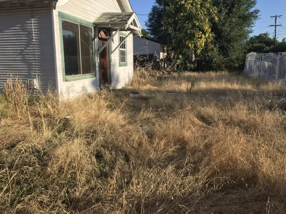 Custom yard maintenance in Stockton, CA by Hernandez One Time Yard Clean Up