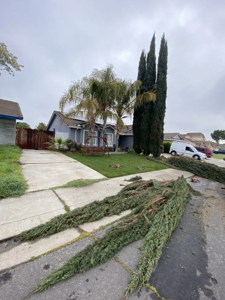 Reliable outdoor landscaping experts serving Stockton, CA - Hernandez One Time Yard Clean Up