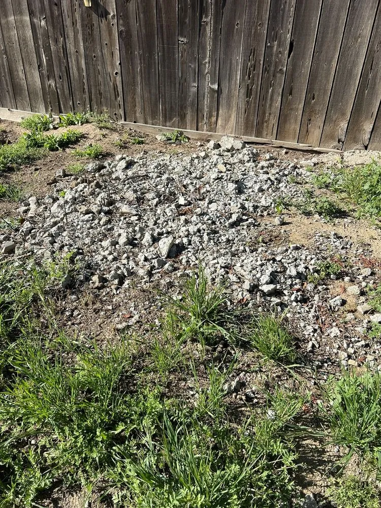 Top-rated yard cleanup service for year-round maintenance in Stockton, CA by Hernandez One Time Yard Clean Up