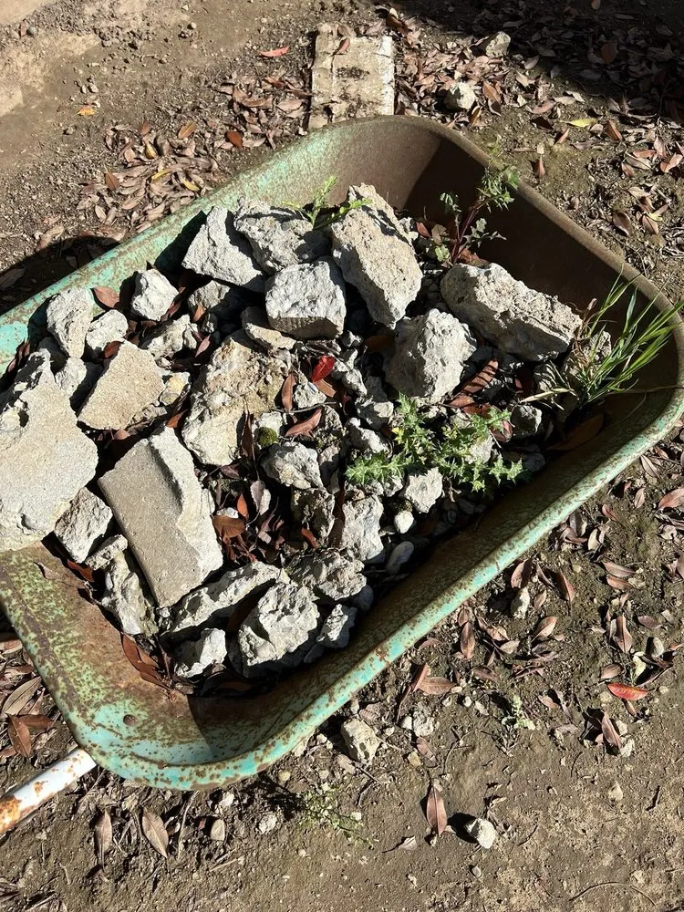 Custom lawn mowing service for residential properties across Stockton, CA - Hernandez One Time Yard Clean Up