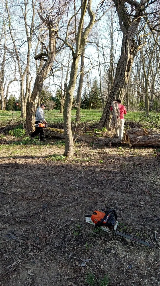 Reliable landscaping services in Chicago, IL by Hernandez Professional Tree Service