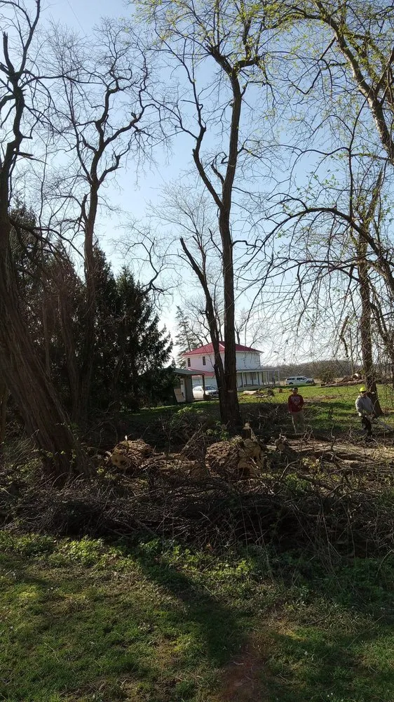 Top-rated landscaping services near you in Chicago, IL by Hernandez Professional Tree Service