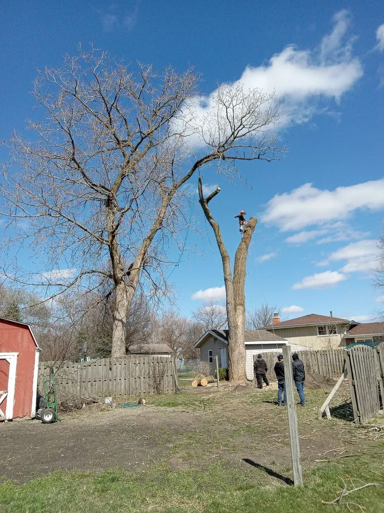 Trusted garden landscaping with custom design in Chicago, IL by Hernandez Professional Tree Service