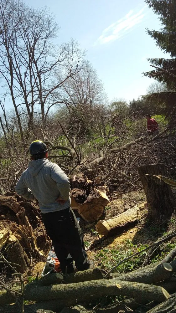 Local landscaping services in Chicago, IL by Hernandez Professional Tree Service