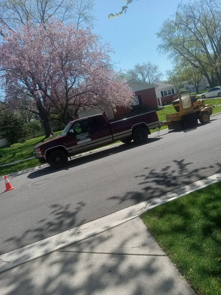 Trusted residential landscaping in Chicago, IL - Hernandez Professional Tree Service