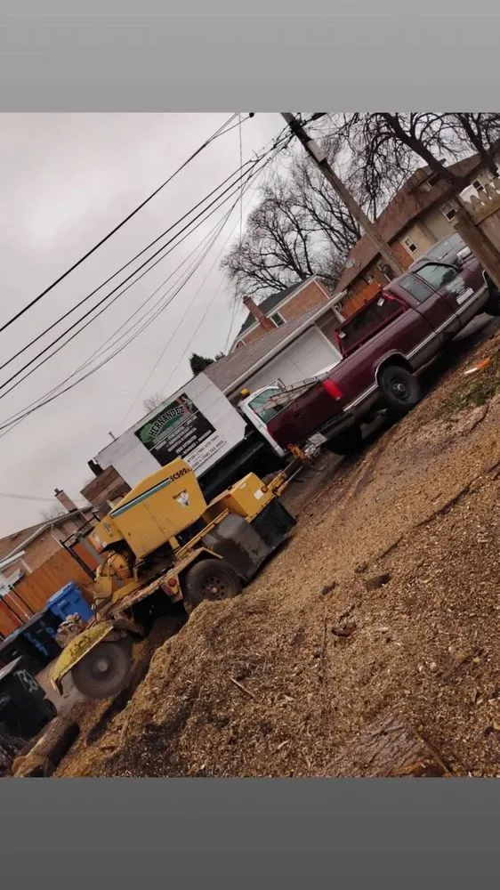 Expert lawn care service for homes in Chicago, IL by Hernandez Professional Tree Service