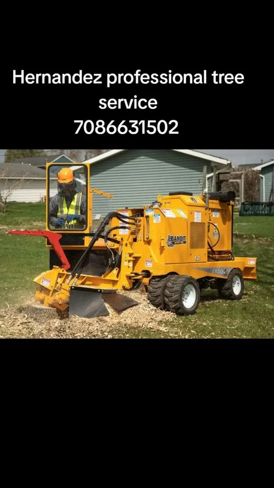 Expert landscaping services for residential properties across Chicago, IL - Hernandez Professional Tree Service
