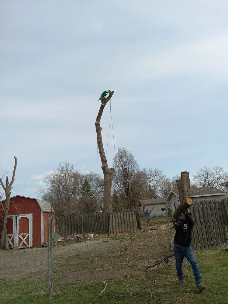 Expert landscape installation experts serving Chicago, IL - Hernandez Professional Tree Service