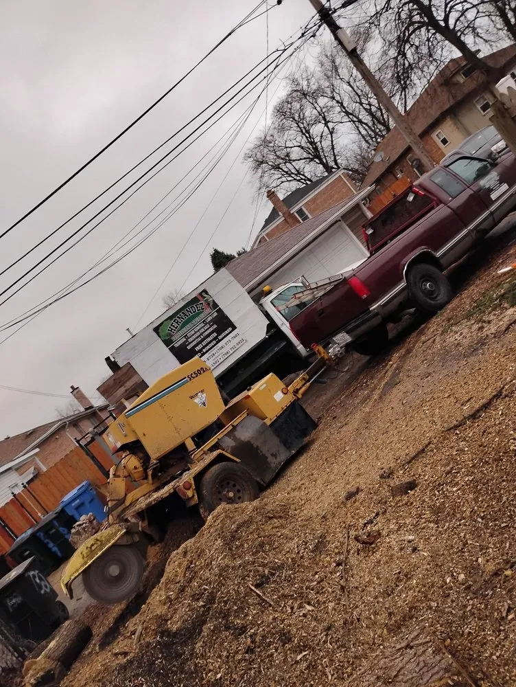 Expert landscaping services experts serving Chicago, IL - Hernandez Professional Tree Service