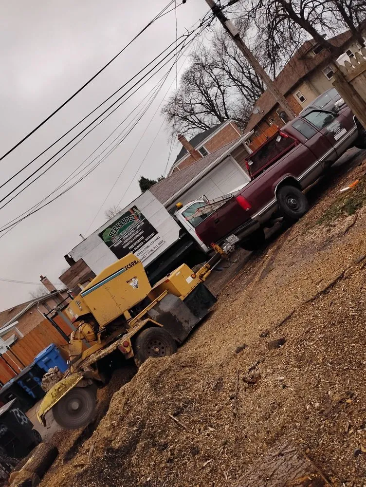 Trusted lawn mowing service in Chicago, IL - Hernandez Professional Tree Service