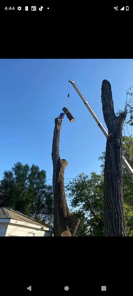 Reliable yard cleanup service with custom design in Chicago, IL by Hernandez Professional Tree Service