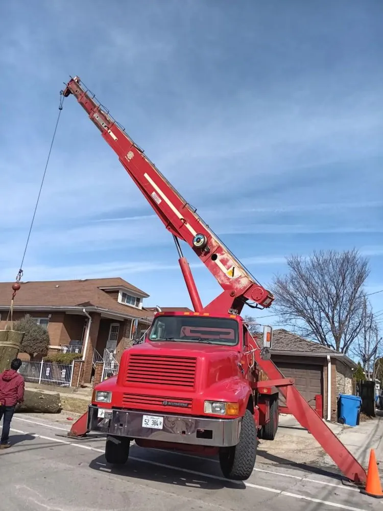 Affordable landscape design in Chicago, IL - Hernandez Professional Tree Service