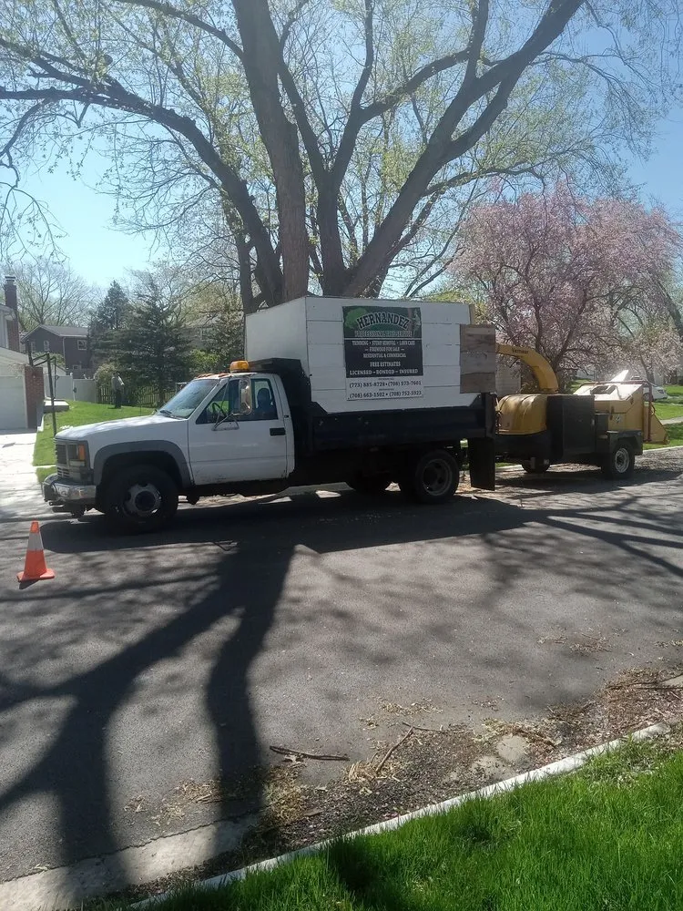 Professional yard maintenance for residential properties in Chicago, IL by Hernandez Professional Tree Service