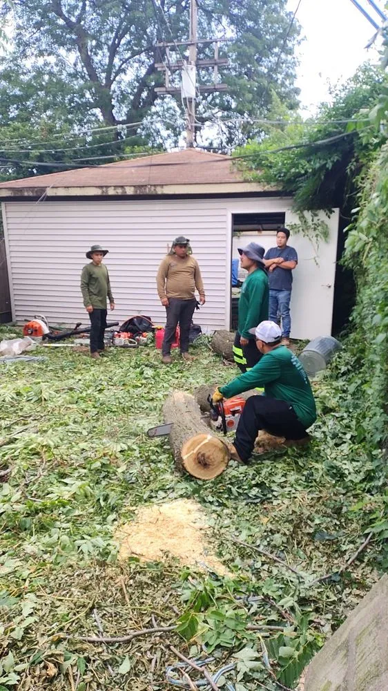 Local landscape design in Chicago, IL by Hernandez Professional Tree Service