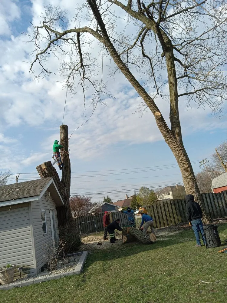 Top-rated landscaping services experts serving Chicago, IL - Hernandez Professional Tree Service